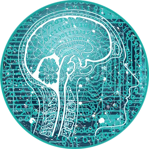 Discipline Workshops | Research & Digital Science Training